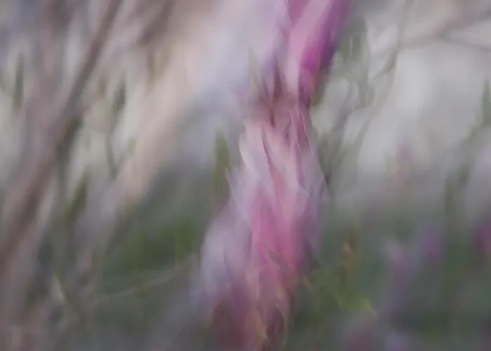 Tim * ポルトローシュ